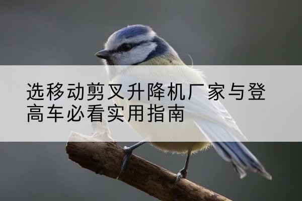 芝罘电动升降机厂家-选移动剪叉升降机厂家与登高车必看实用指南