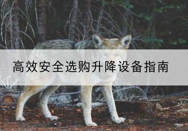 芝罘升降货梯厂家推荐-*安全选购升降设备指南
